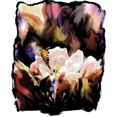 Bee in Dreamland