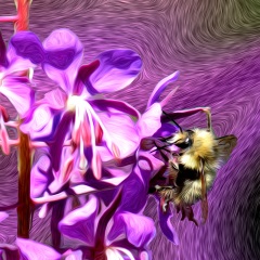 Fireweed and the Bee-H-Hancock-Background