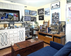 Kitchen-plant-corner Kitchen-plant-corner