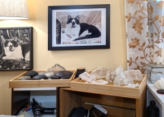 PXL_20250717_051057337 PXL_20250717_051057337