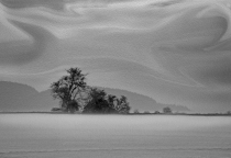 A Quiet Embrace of Nightfall