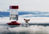 Hummingbird Aerial Refueling Station