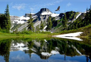 Cruising-Over Lower Bagley Lake