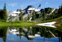 Cruising Over Lower Bagley Lake
