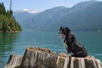 Django and Baker Lake