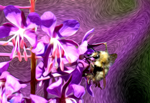 Fireweed and the Bee-H-Hancock-Background