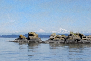 Salish Sea Skerry