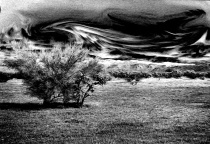 Mystery in the Desert