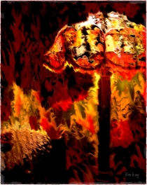 Scarlet-Passion