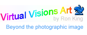 Virtual Visions Art